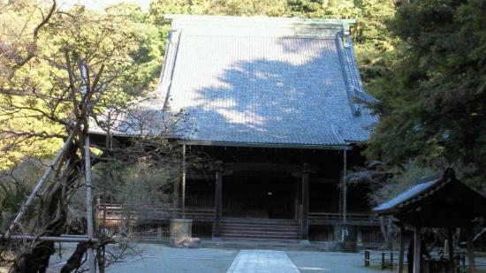 トリップアドバイザー提供