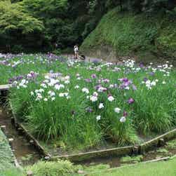 トリップアドバイザー提供