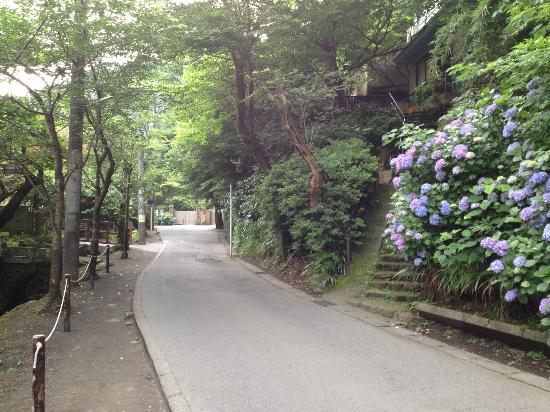 トリップアドバイザー提供