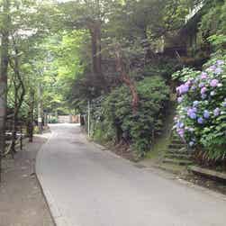 トリップアドバイザー提供