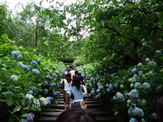 トリップアドバイザー提供