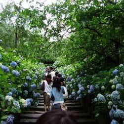 トリップアドバイザー提供