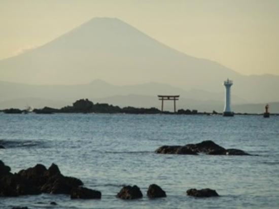 トリップアドバイザー提供