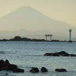 トリップアドバイザー提供