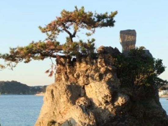 トリップアドバイザー提供