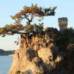 トリップアドバイザー提供