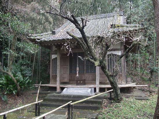 トリップアドバイザー提供