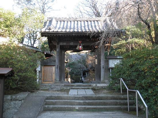 トリップアドバイザー提供