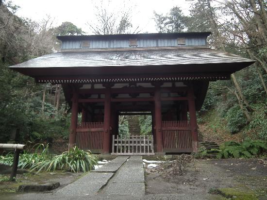 トリップアドバイザー提供