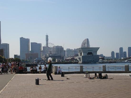 トリップアドバイザー提供