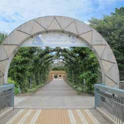 トリップアドバイザー提供