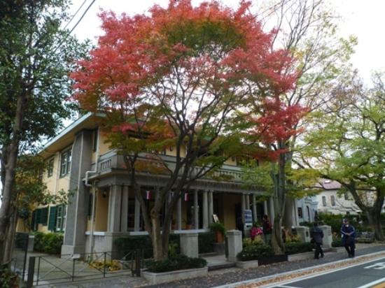 トリップアドバイザー提供