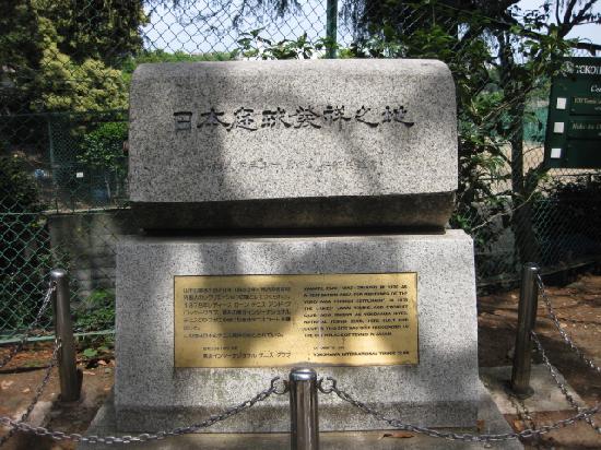 トリップアドバイザー提供