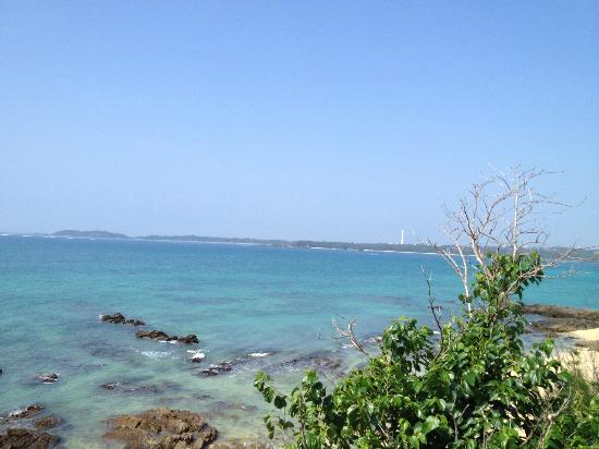 トリップアドバイザー提供