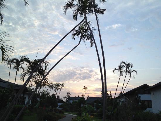 トリップアドバイザー提供