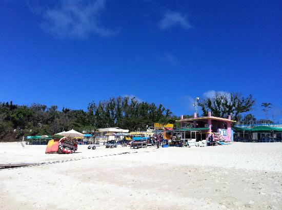 トリップアドバイザー提供