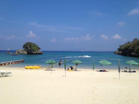 トリップアドバイザー提供