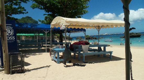 トリップアドバイザー提供