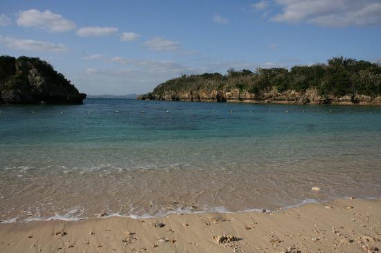 トリップアドバイザー提供