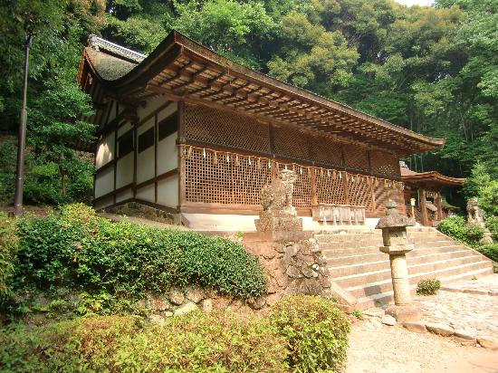 トリップアドバイザー提供