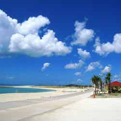 トリップアドバイザー提供