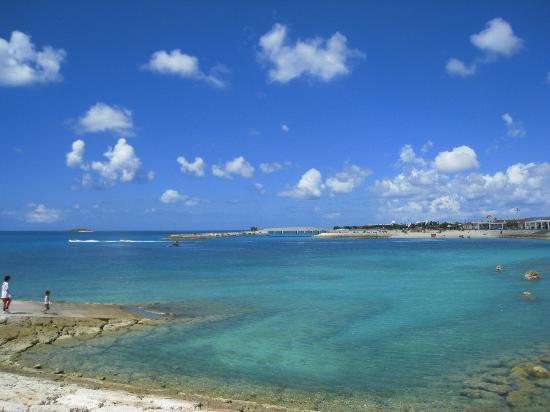 トリップアドバイザー提供