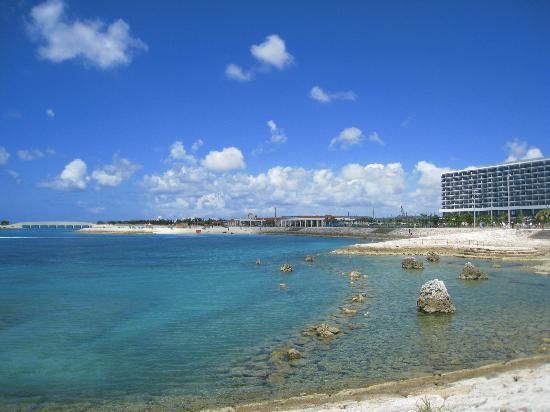 トリップアドバイザー提供