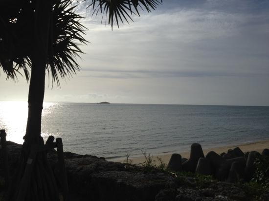 トリップアドバイザー提供