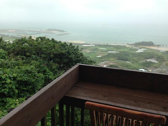 トリップアドバイザー提供