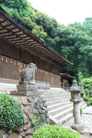 トリップアドバイザー提供