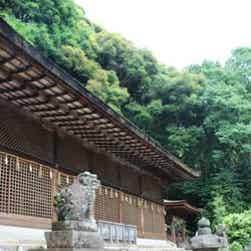 トリップアドバイザー提供