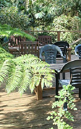 トリップアドバイザー提供