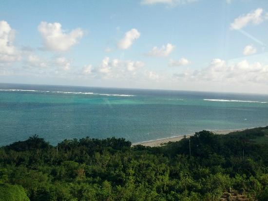 トリップアドバイザー提供