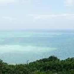 トリップアドバイザー提供