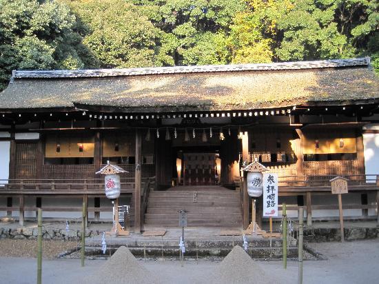 トリップアドバイザー提供