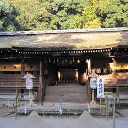 トリップアドバイザー提供