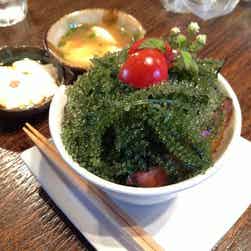 トリップアドバイザー提供