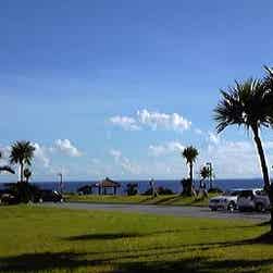 トリップアドバイザー提供