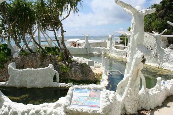 トリップアドバイザー提供