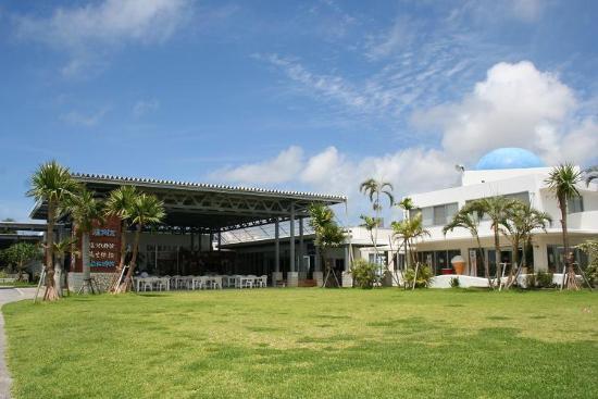 トリップアドバイザー提供