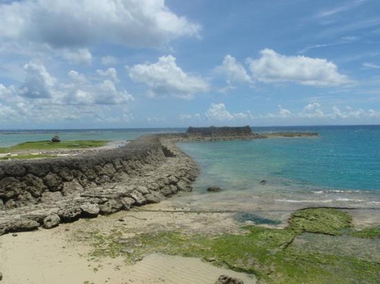 トリップアドバイザー提供
