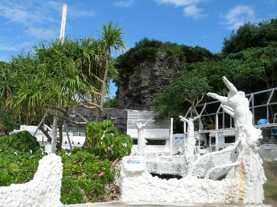 トリップアドバイザー提供