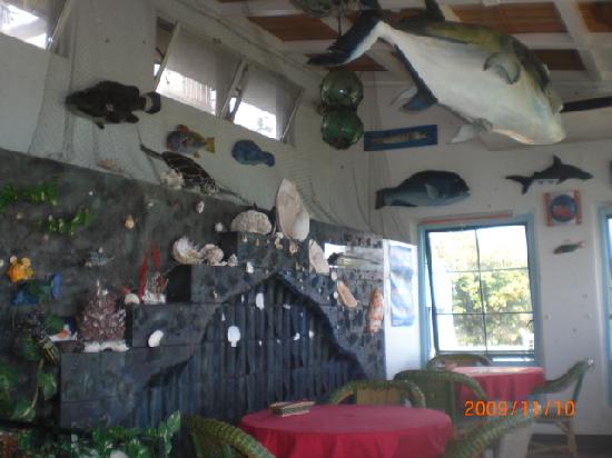 トリップアドバイザー提供