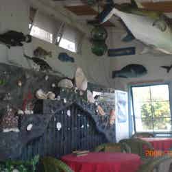 トリップアドバイザー提供