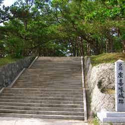 トリップアドバイザー提供