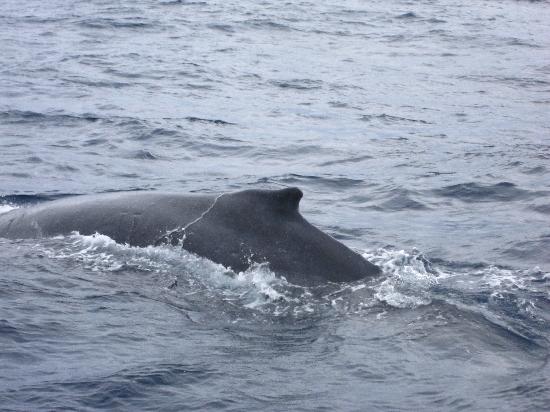 トリップアドバイザー提供