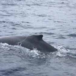 トリップアドバイザー提供