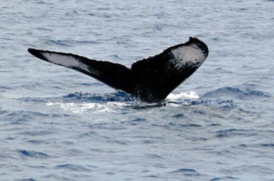 トリップアドバイザー提供