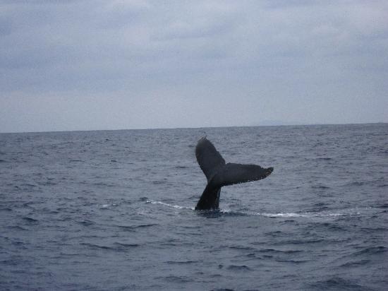 トリップアドバイザー提供