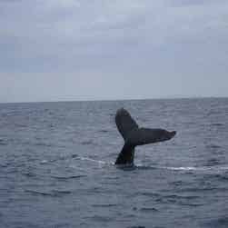 トリップアドバイザー提供